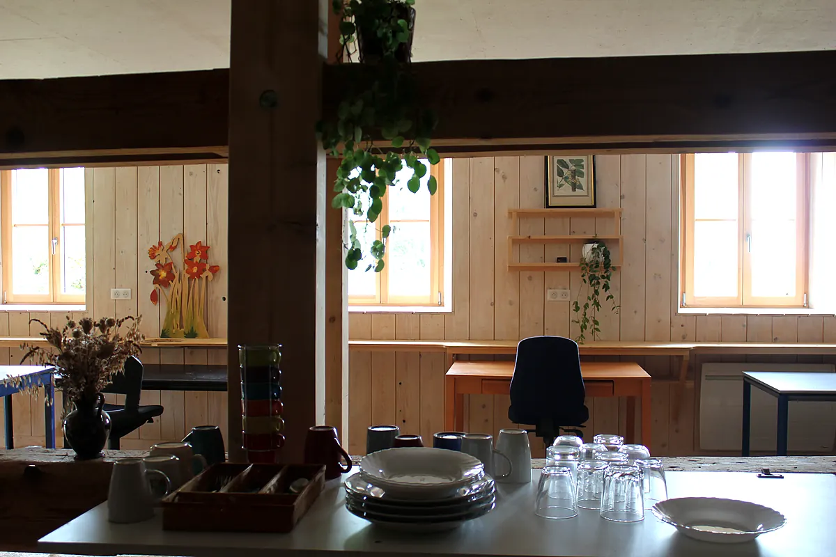 La grande table commune du coworking, entourée de plantes et de murs en bois.